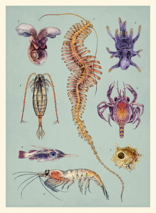 Ilustración de Oceanarium