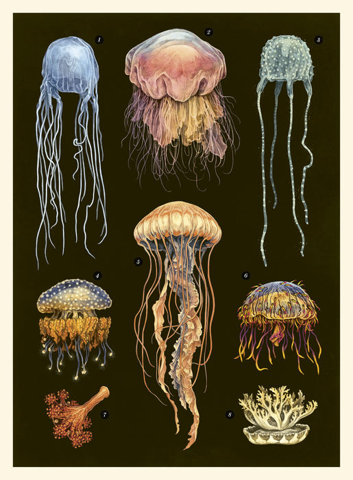 Ilustración de Oceanarium