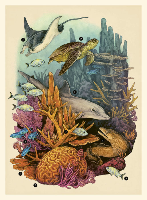 Ilustración de Oceanarium