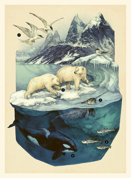 Ilustración de Oceanarium