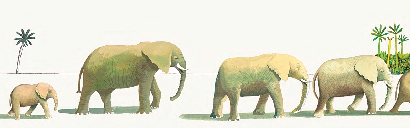 Ilustración de Ernesto el elefante