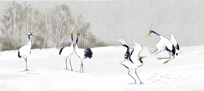 Ilustración de Tancho
