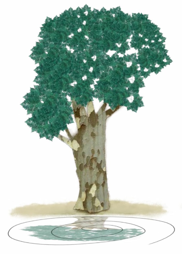 Ilustración de Los sabios hipopótamos