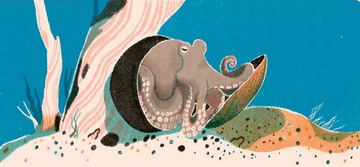 Ilustración de La gran barrera de coral