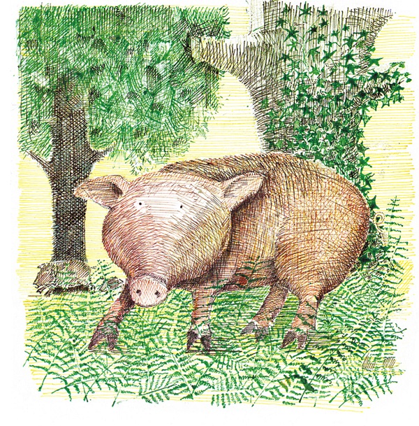 Ilustración de La excursión del señor Gumpy