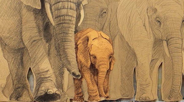 Ilustración de Amapola