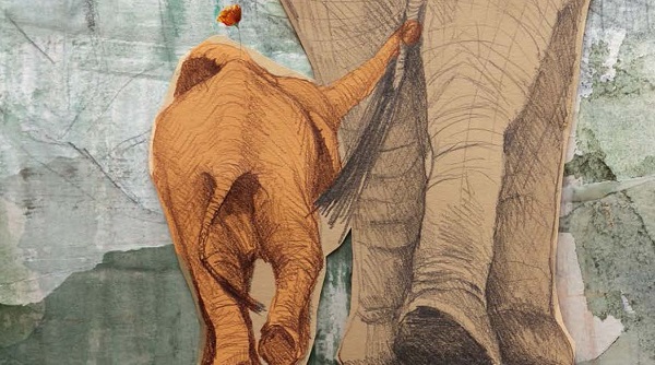 Ilustración de Amapola