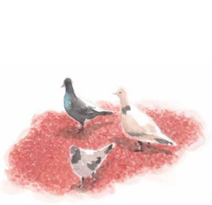 Ilustración de El nieto del Cóndor