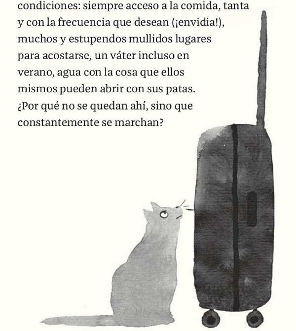 Ilustración de Gato Liam