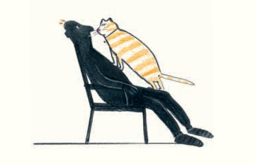 Ilustración de Gato Liam