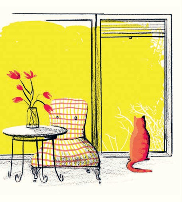 Ilustración de Gato Liam