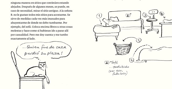 Ilustración de Gato Liam
