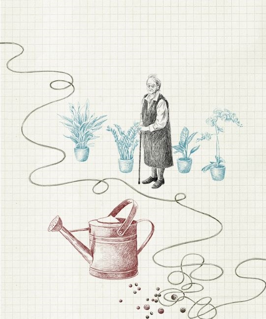 Ilustración de Cartas al señor A