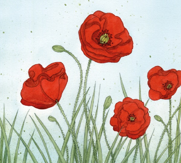 Ilustración de Dicen que no hablan las plantas