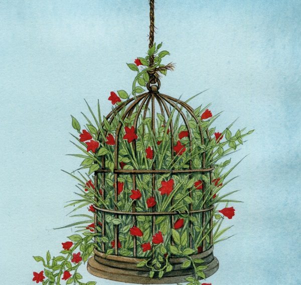 Ilustración de Dicen que no hablan las plantas