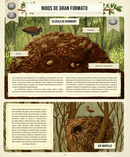 Ilustración de Construcciones animales