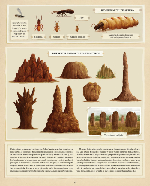Ilustración de Construcciones animales
