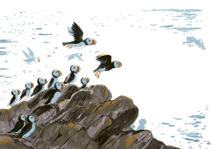 Ilustración de La isla de los frailecillos