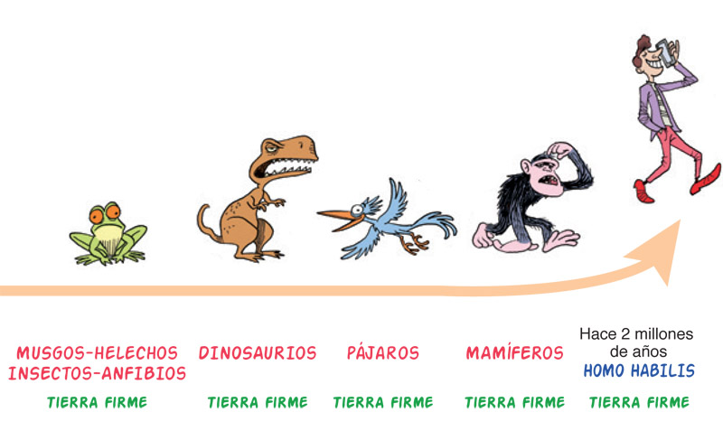 Ilustración de El mundo de Bac