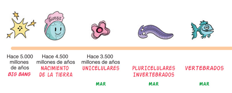 Ilustración de El mundo de Bac