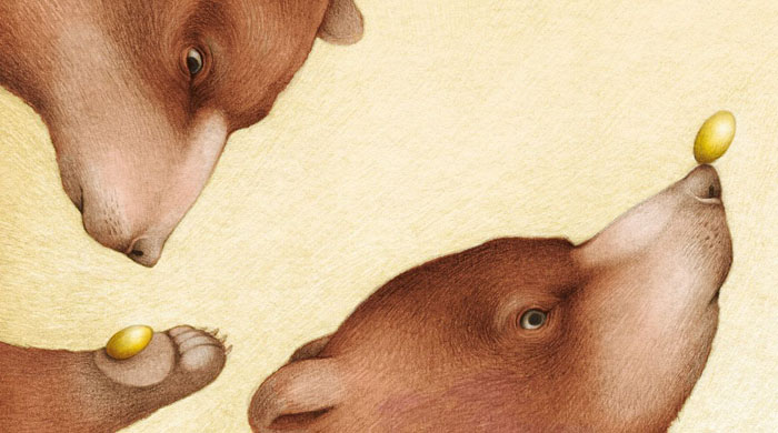 Ilustración de El lenguaje secreto de las piedras