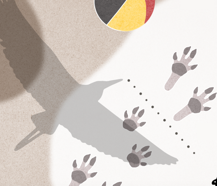 Ilustración de Museo Animal