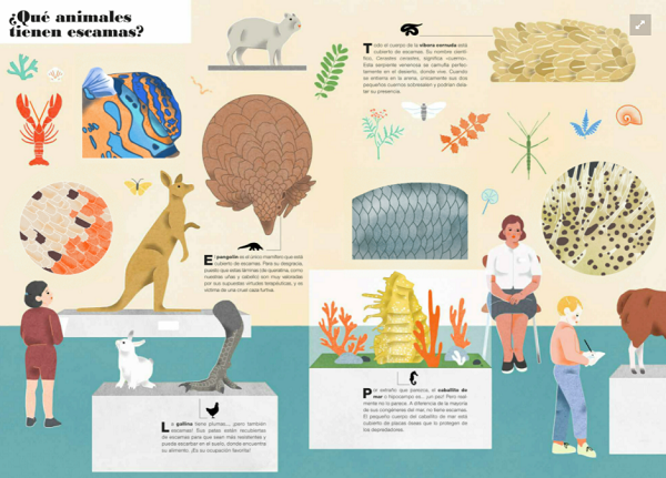 Ilustración de Museo Animal