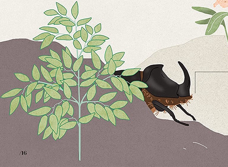 Ilustración de Museo Animal