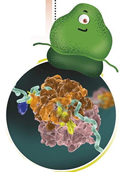 Ilustración de El libro del ADN