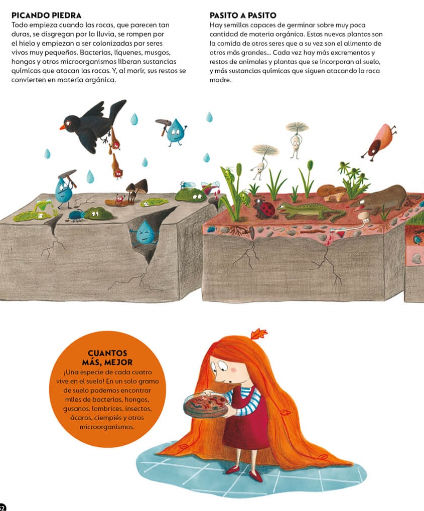 Ilustración de El bosque es nuestra casa