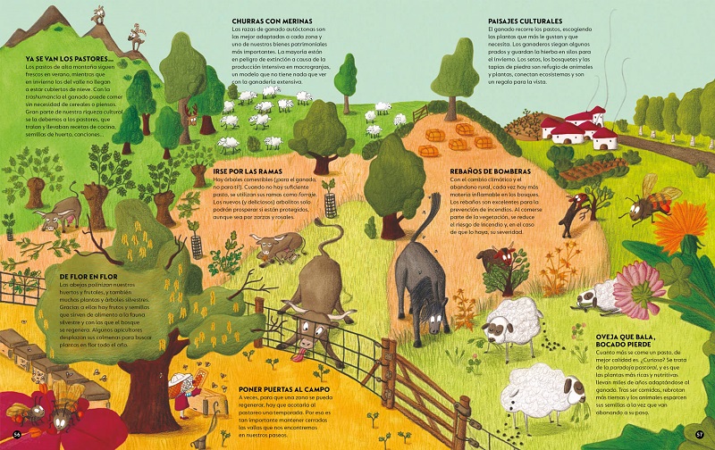 Ilustración de El bosque es nuestra casa