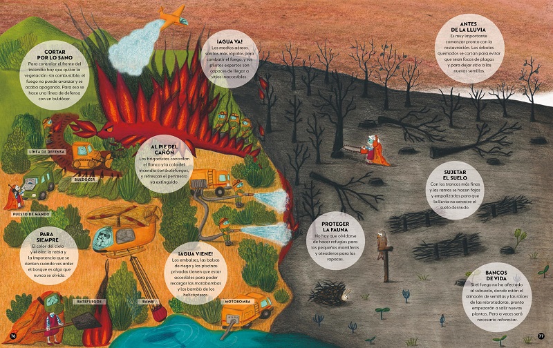 Ilustración de El bosque es nuestra casa