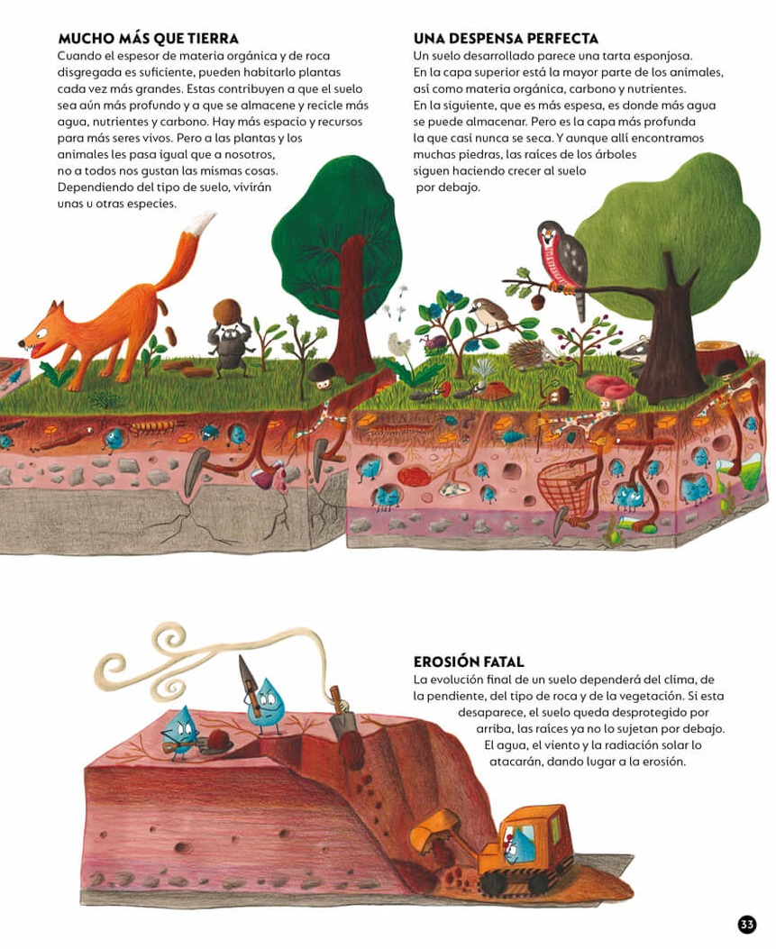 Ilustración de El bosque es nuestra casa