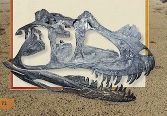 Ilustración de DINOENCICLOPEDIA