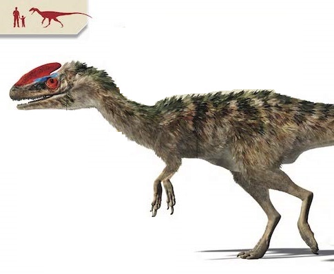 Ilustración de DINOENCICLOPEDIA