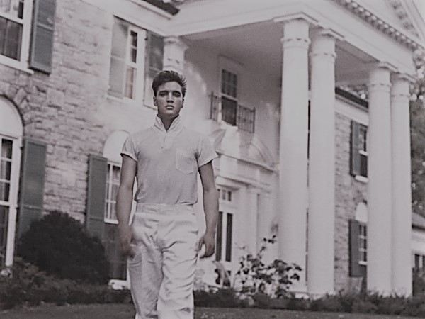 Ilustración de Ser Elvis
