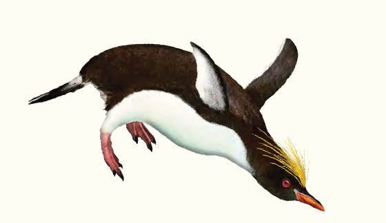 Ilustración de El acuario de la Tierra