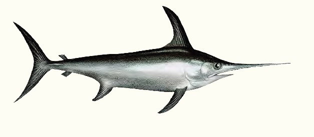 Ilustración de El acuario de la Tierra