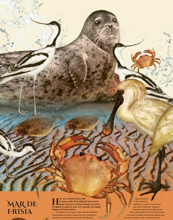 Ilustración de El acuario de la Tierra