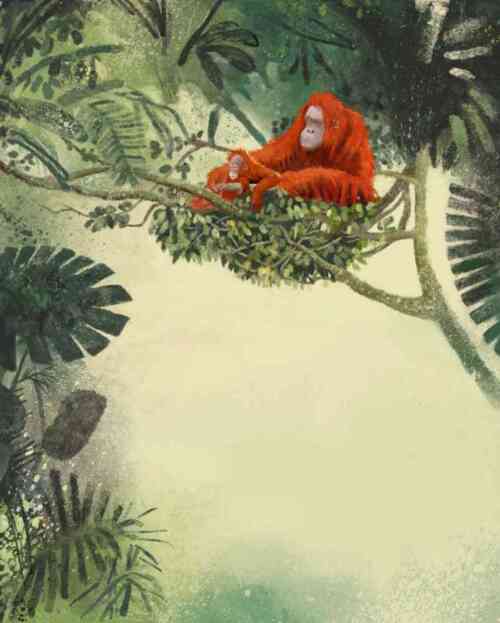 Ilustración de Los orangutanes y yo