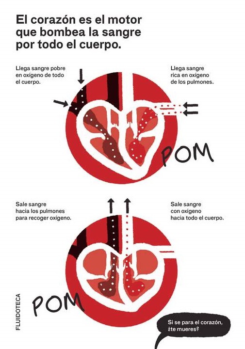 Ilustración de Fluidoteca
