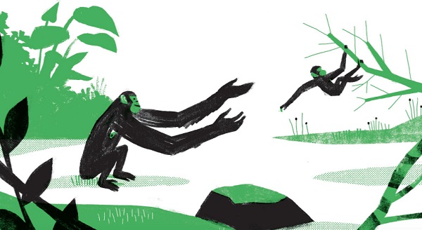Ilustración de Aprender de los chimpacés