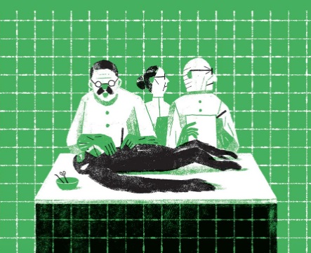 Ilustración de Aprender de los chimpacés