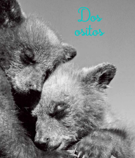 Ilustración de Dos ositos
