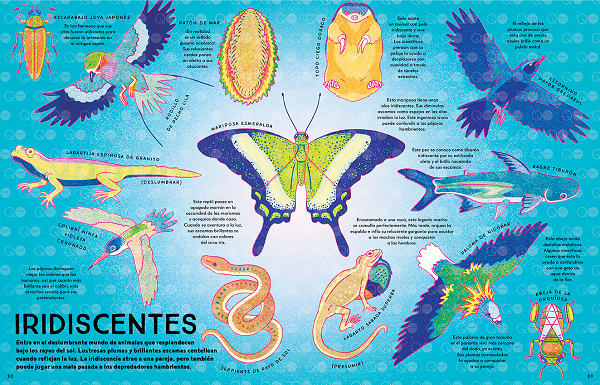 Ilustración de Caleidoscopio animal