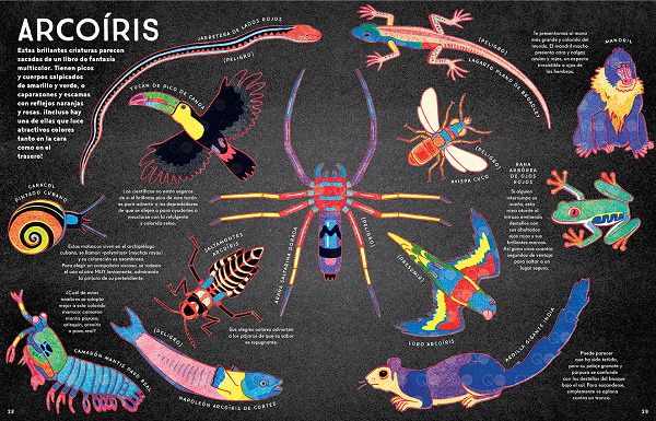Ilustración de Caleidoscopio animal