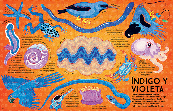 Ilustración de Caleidoscopio animal