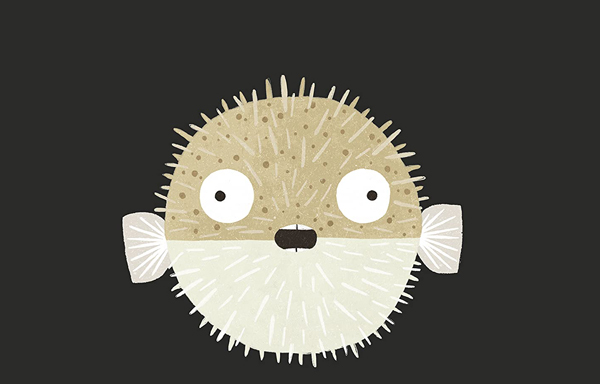 Ilustración de Los animales más inútiles del mundo