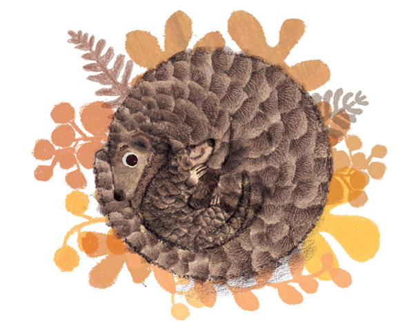 Ilustración de Pangolina