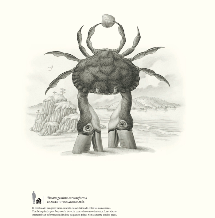 Ilustración de TERRA ULTIMA